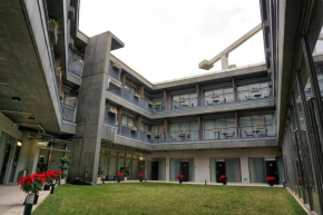 Y Loft